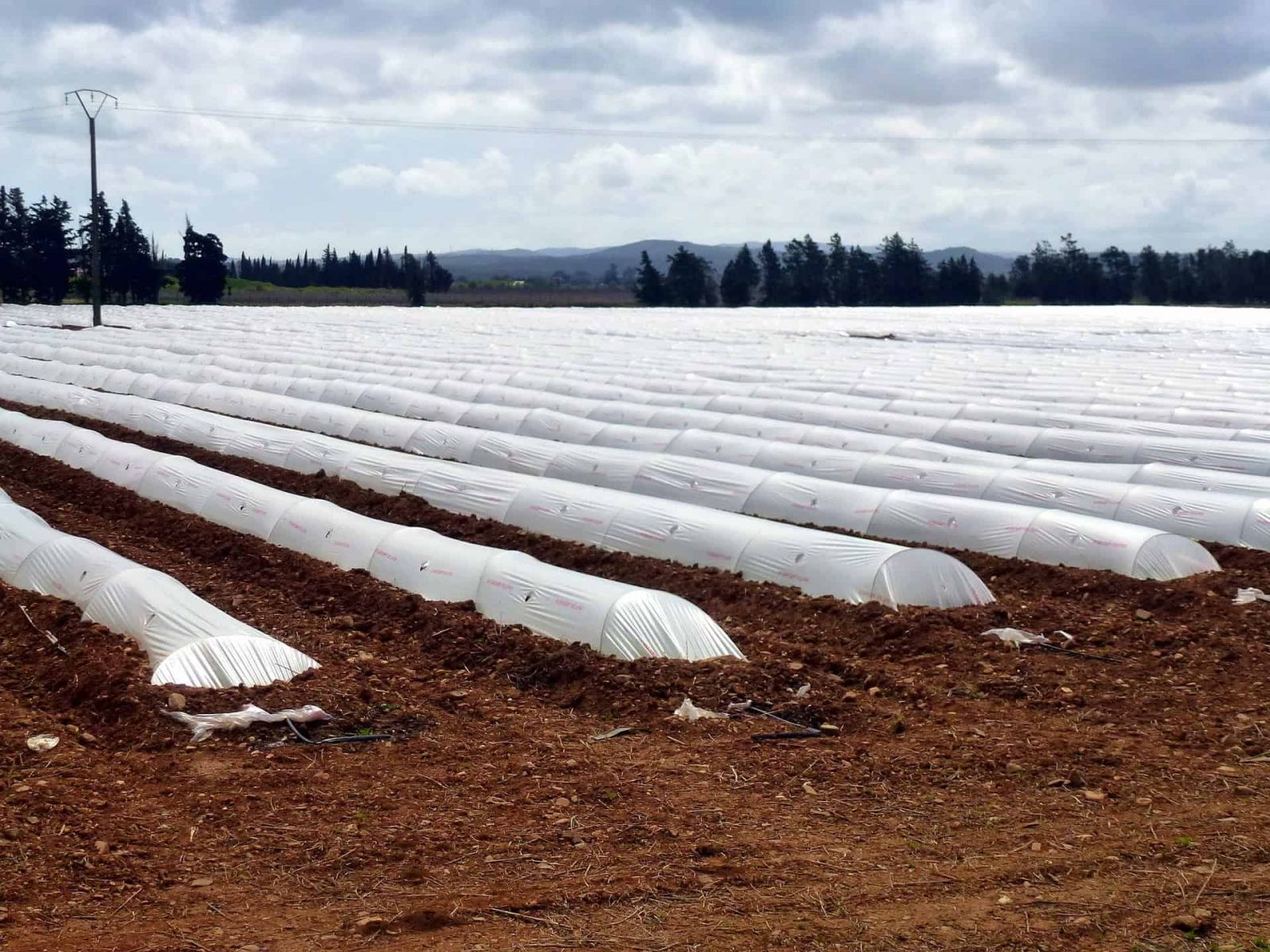 Applying anti-UV additives to produce agricultural mulch films