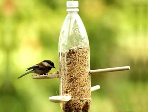 Dụng cụ cho chim ăn tái chế từ chai nhựa