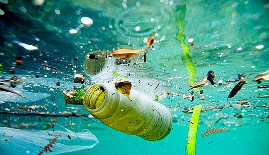 Hạt vi nhựa trong đại dương